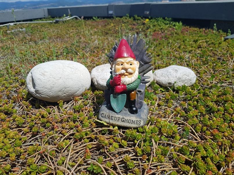 THE GAME OF GNOMES GARDEN GNOME