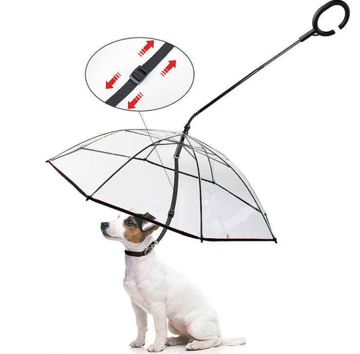 ADJUSTABLE TRANSPARENT UMBRELLA WITH LEASH FOR SMALL PUPPIES