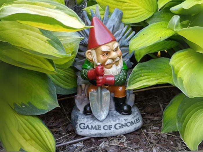 THE GAME OF GNOMES GARDEN GNOME