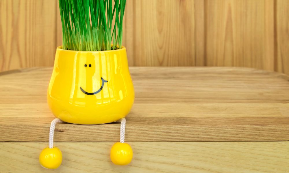 Your happiness, satisfaction, and overall experience are top priority at Bizarre Bazaar.