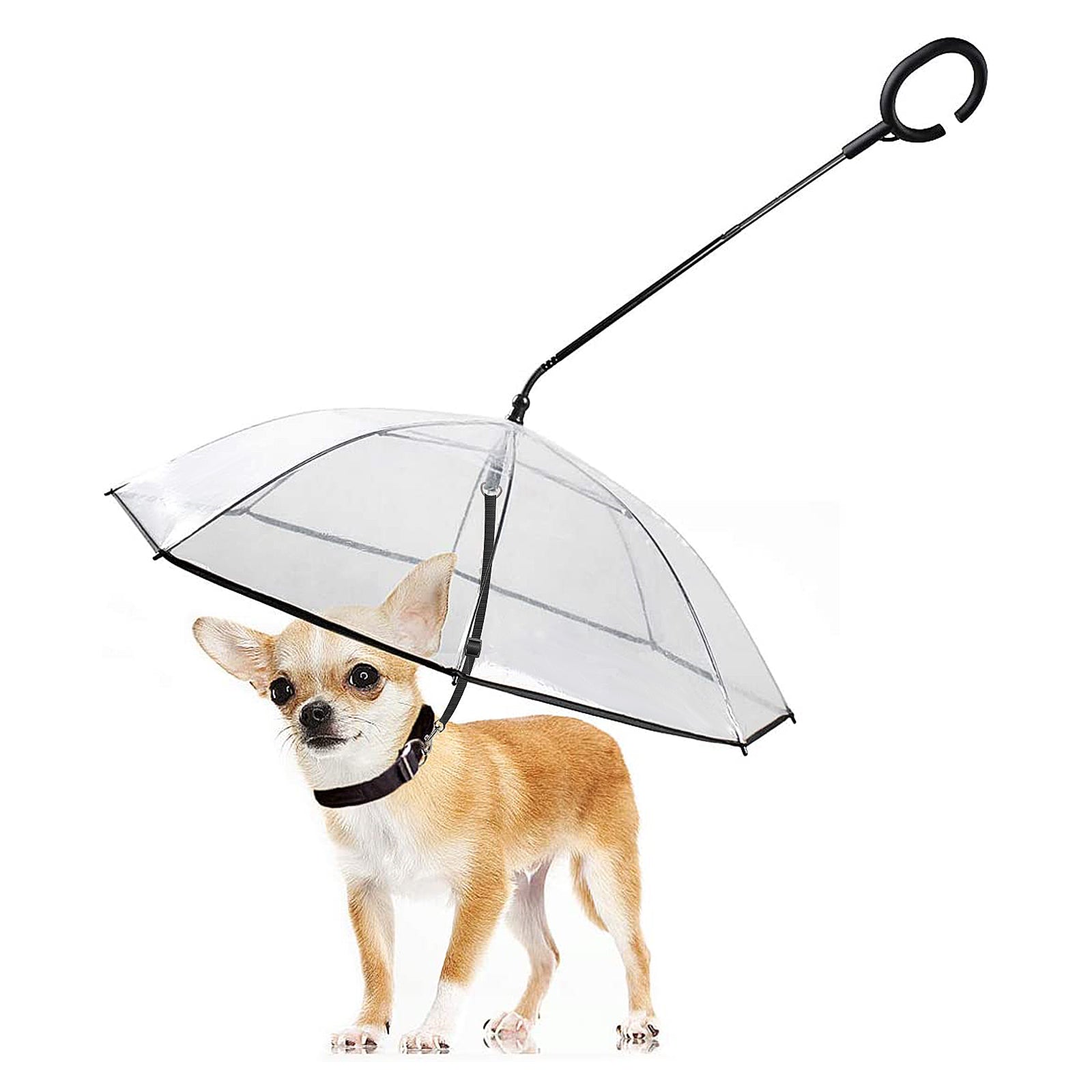 ADJUSTABLE TRANSPARENT UMBRELLA WITH LEASH FOR SMALL PUPPIES