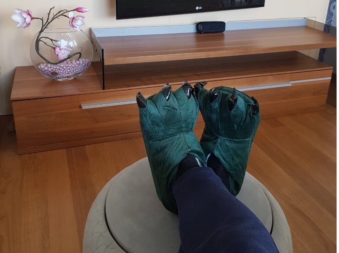 Plush dinosaur slippers for coziness.