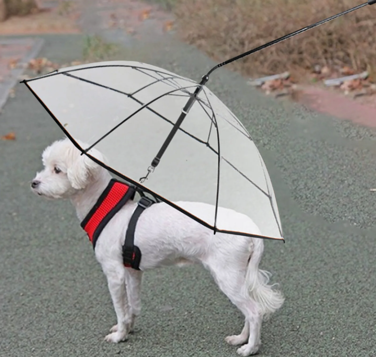 ADJUSTABLE TRANSPARENT UMBRELLA WITH LEASH FOR SMALL PUPPIES