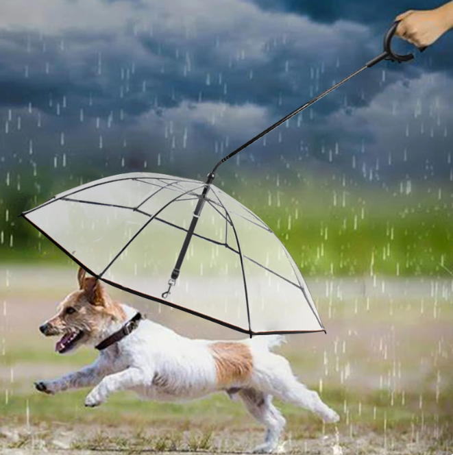 ADJUSTABLE TRANSPARENT UMBRELLA WITH LEASH FOR SMALL PUPPIES