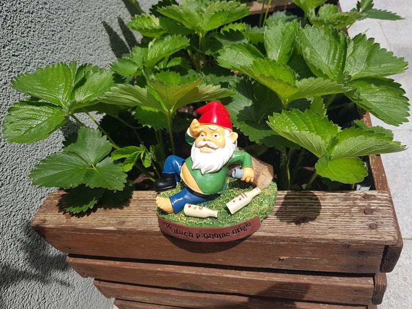 HUNGOVER GARDEN GNOME