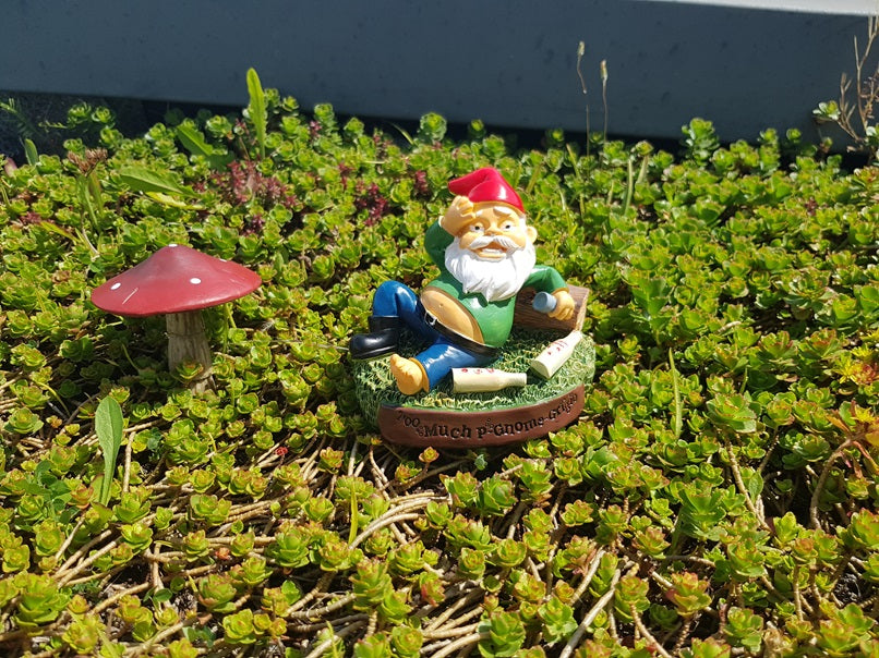 HUNGOVER GARDEN GNOME