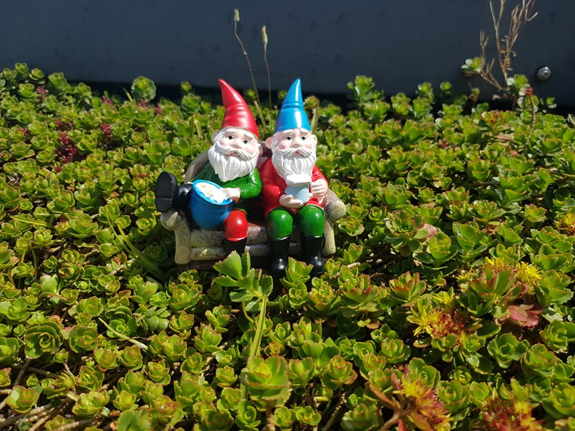 BUDDIES RELAXING ON SOFA GARDEN GNOMES