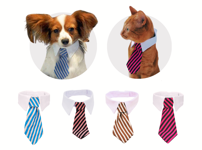 ADJUSTABLE NECKTIE FOR SMALL DOGS & CATS. A funny gift for your dog or cat.