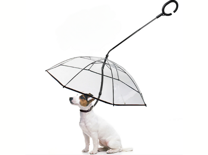 ADJUSTABLE TRANSPARENT UMBRELLA WITH LEASH FOR SMALL PUPPIES. A fun product for your dog on rainy days