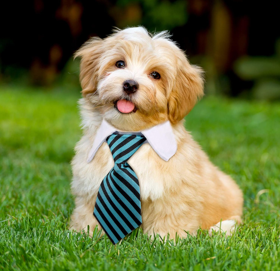 ADJUSTABLE NECKTIE FOR SMALL DOGS & CATS