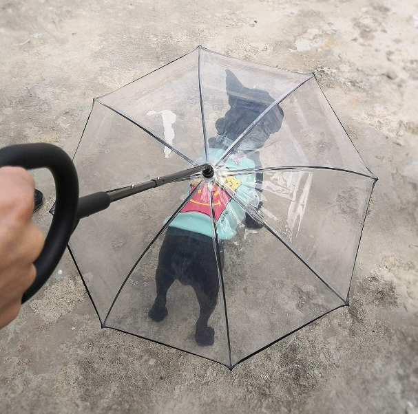 ADJUSTABLE TRANSPARENT UMBRELLA WITH LEASH FOR SMALL PUPPIES